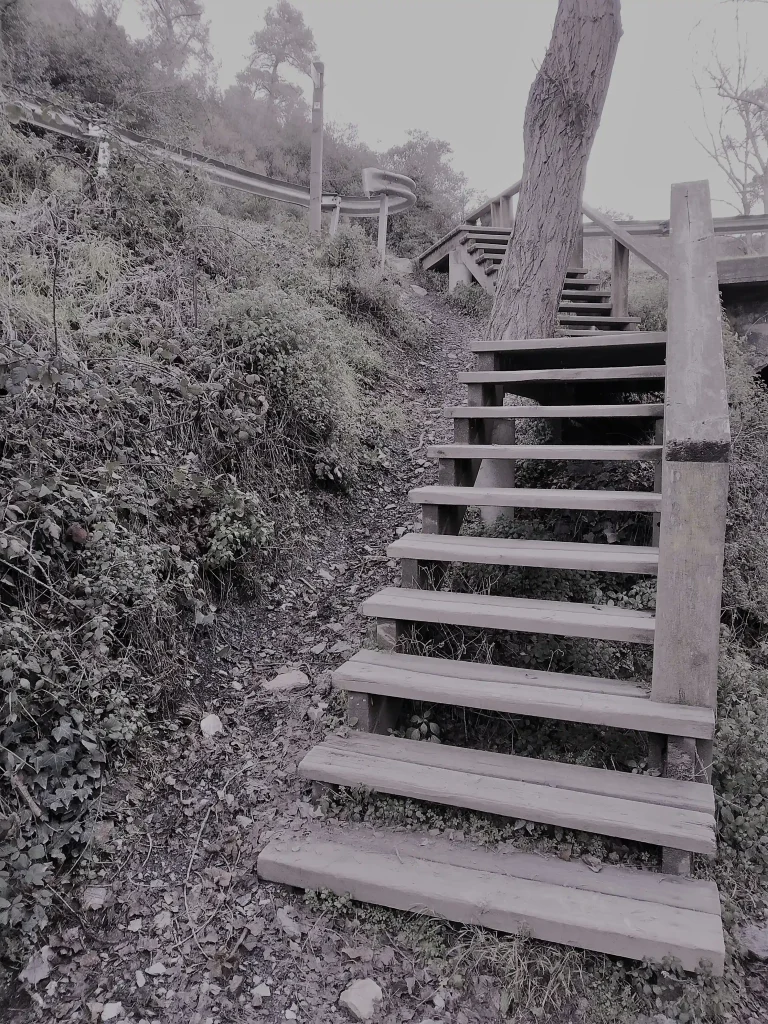 Aventura en Barcelona Collserola: Naturaleza e Historia