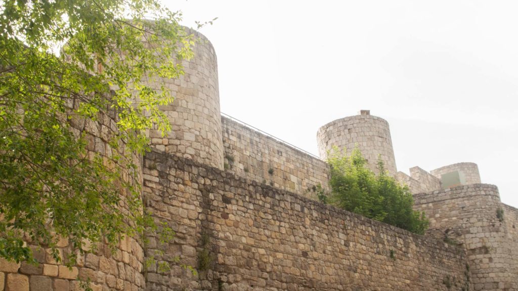 Invasion onvi en Burgos_5 Turismo Aventura Ocio Burgos