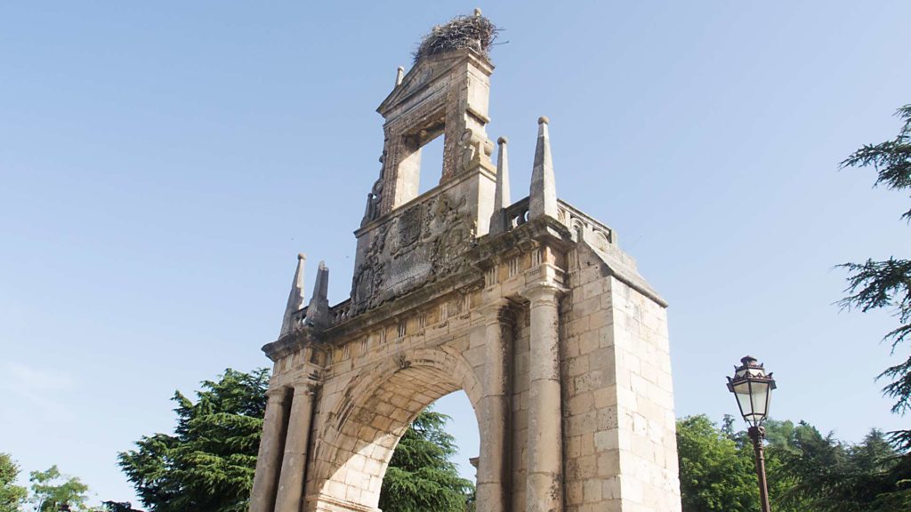 Invasion onvi en Burgos_7